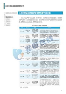 全方位揭 家底 长沙市移动互联网发展白皮书 发布